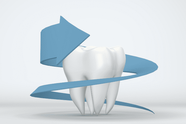 Estructura del diente: sus partes